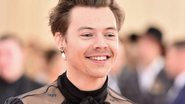 Harry Styles - Theo Wargo/Getty Images