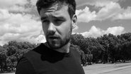 Liam Payne assume namoro com a modelo norte-americana - Foto/Destaque Instagram