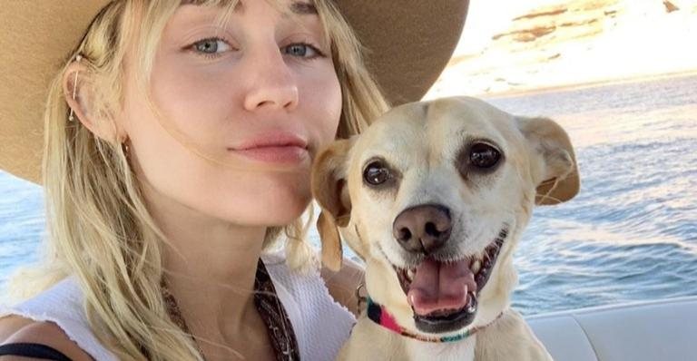 Miley Cyrus e Bean, seu cachorrinho vira-lata adotado em 2011 - Foto/Destaque Instagram