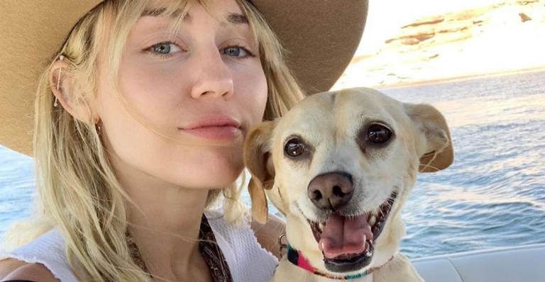 Miley Cyrus e Beanie durante viagem - Reprodução/Instagram