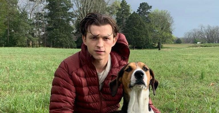 Tom Holland - Reprodução/Instagram