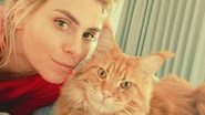 Carolina Dieckmann compartilha clique com seu gatinho e comemora lei que defende os animais - Instagram