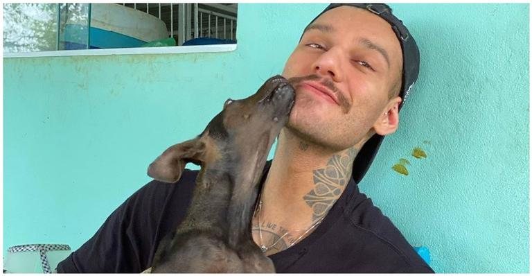 Lucas Lucco adota cachorrinha que perdeu uma patinha - Instagram