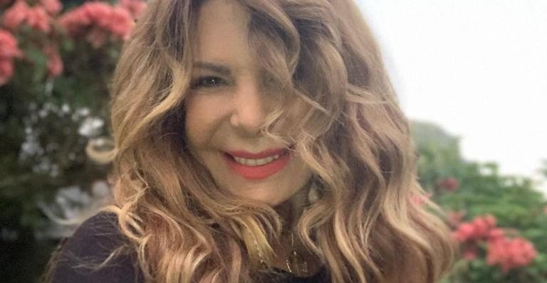 Elba Ramalho diz não ter assistido o BBB, mas comemora a final - Reprodução/Instagram