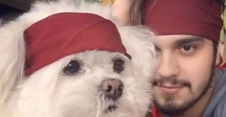 Luan Santana emociona seus seguidores ao compartilhar linda mensagem de despedida para seu cachorro - Instagram