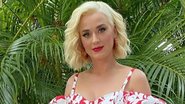 Katy Perry mostra o barrigão durante live - Instagram