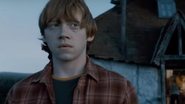 Nasce a primeira filha de Rupert Grint - Divulgação/ Warner Bros