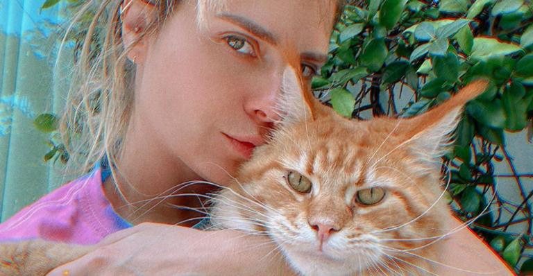 Carolina Dieckmann exibe gatinho em lugares inusitados e diverte fãs - Instagram