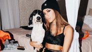 Anitta volta para o Rio e é recebida com alegria pelos cães - Reprodução/Instagram