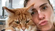 Em quarentena, Carolina Dieckmann posa agarradinha com gato e encanta web - Instagram