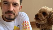 Orlando Bloom lamenta morte de seu cachorrinho - Reprodução/Instagram