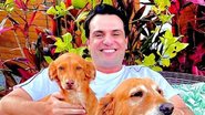 Rodrigo Lombardi surge tirando soneca com seus cachorros - Reprodução/Instagram