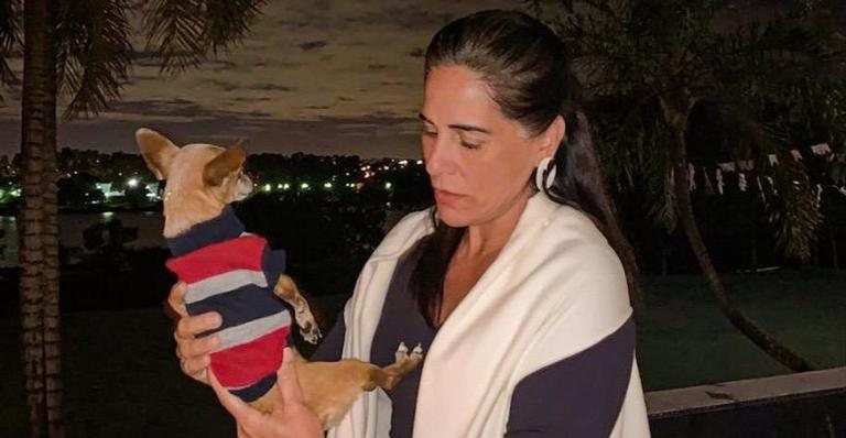 Gloria Pires lamenta morte de companheira canina - Reprodução/Instagram