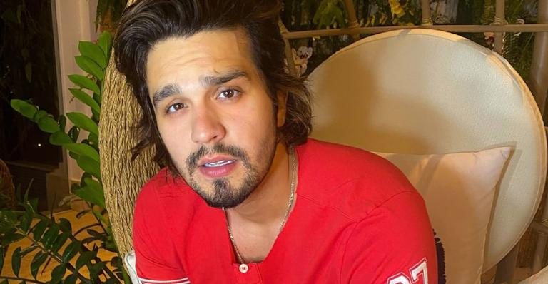 Luan Santana recebe elogios ao posar em jatinho luxuoso - Reprodução/Instagram