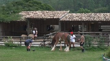 A Fazenda: Peões se emocionam ao se despedir dos animais - Divulgação/Record TV