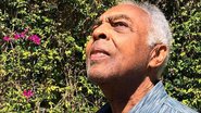 Gilberto Gil celebra a união de sua família ao posar com alguns de seus filhos e netos - Reprodução/Instagram