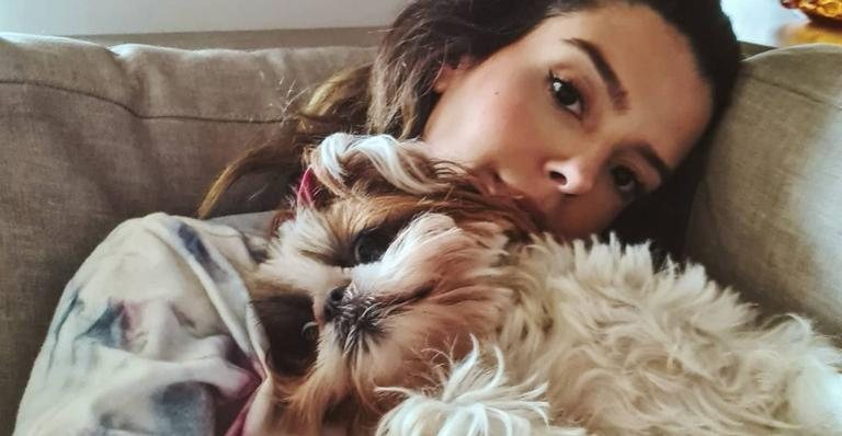 Giovanna Lancellotti flagra sua cachorrinha disfarçada entre pelúcias - Reprodução/Instagram