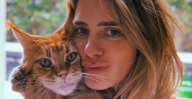 Carolina Dieckmann celebra Dia do Gato fazendo homenagem ao seu pet - Reprodução/Instagram