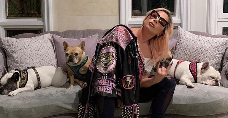 Lady Gaga ao lado de Koji, Miss Asia e Gustavo, seus cachorros - Foto/Instagram