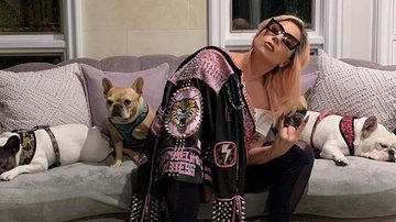 Lady Gaga ao lado de Koji, Miss Asia e Gustavo, seus cachorros - Foto/Instagram