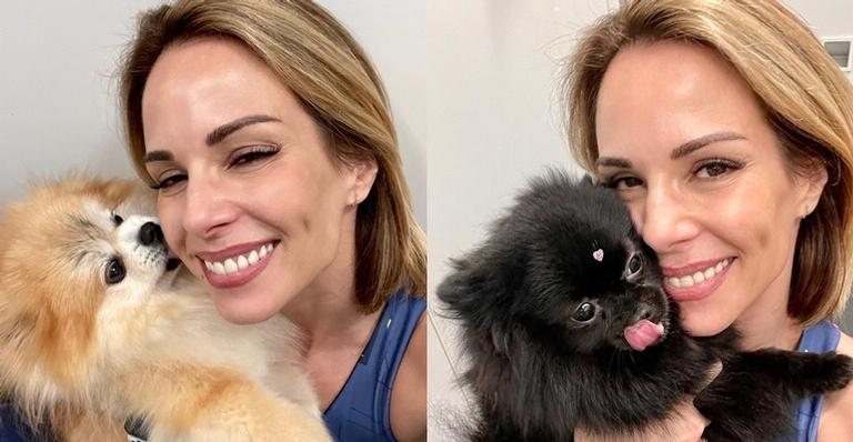 Ana Furtado posta cliques com os cachorros e se declara - Reprodução/Instagram