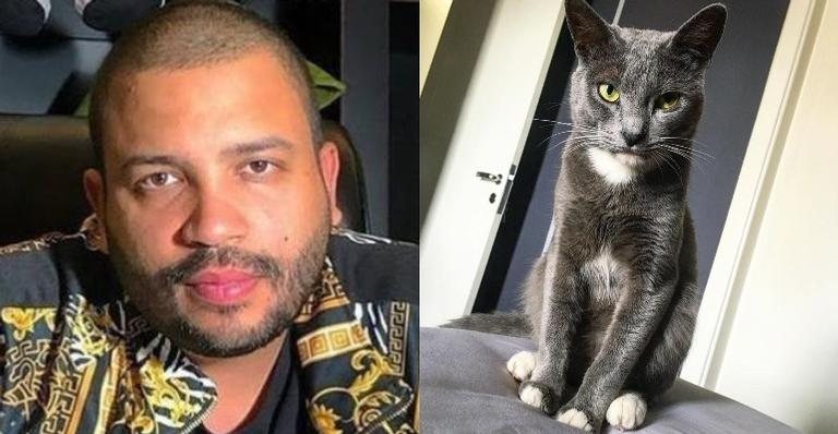 Projota lamenta morte de seu gatinho, Chuck - Reprodução/Instagram