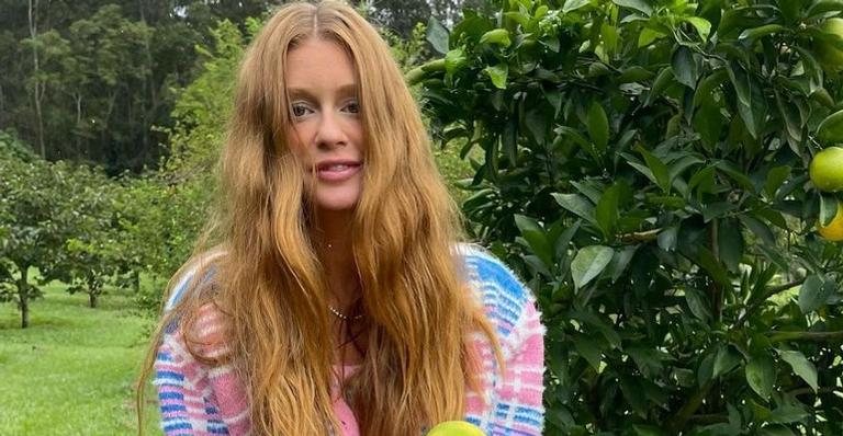 Marina Ruy Barbosa posta clique perfeito de sua nova gatinha - Reprodução/Instagram