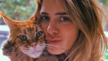 Carolina Dieckmann brinca com seu gato em registro - Reprodução/Instagram