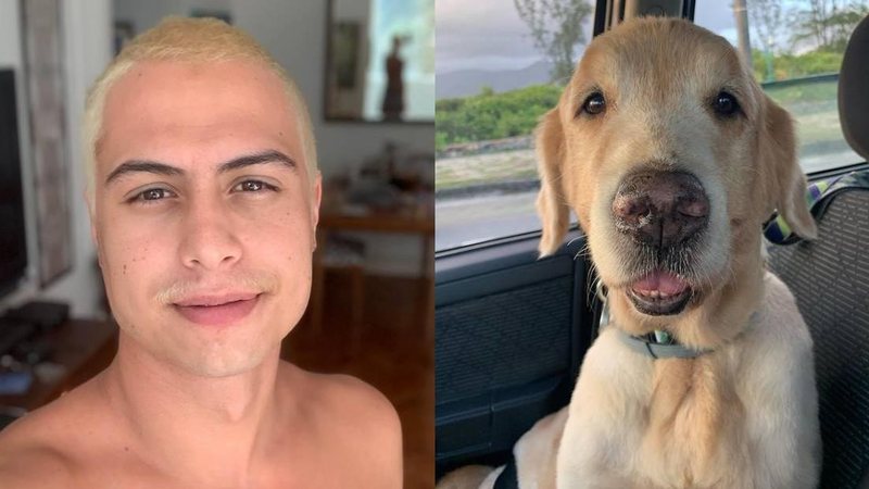 Francisco Vitti celebra aniversário de seu cachorro, Simba - Reprodução/Instagram