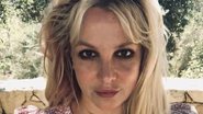 Britney Spears está livre da tutela do pai - Reprodução/Instagram