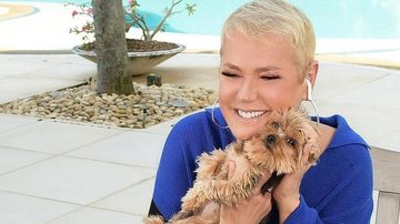 Xuxa Meneghel surge com Doralice em cliques super fofos - Reprodução/Instagram