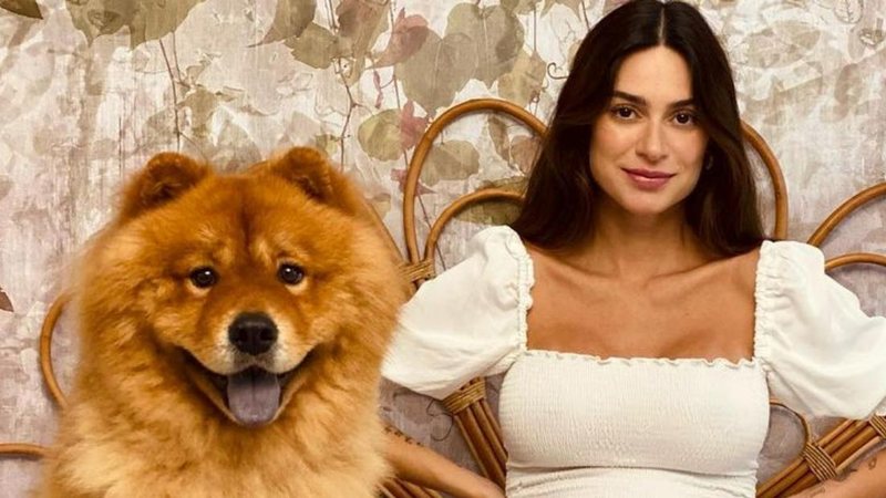 No final da gravidez, Thaila Ayala faz fotos fofas com seu cãozinho - Reprodução/Instagram