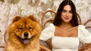 No final da gravidez, Thaila Ayala faz fotos fofas com seu cãozinho - Reprodução/Instagram