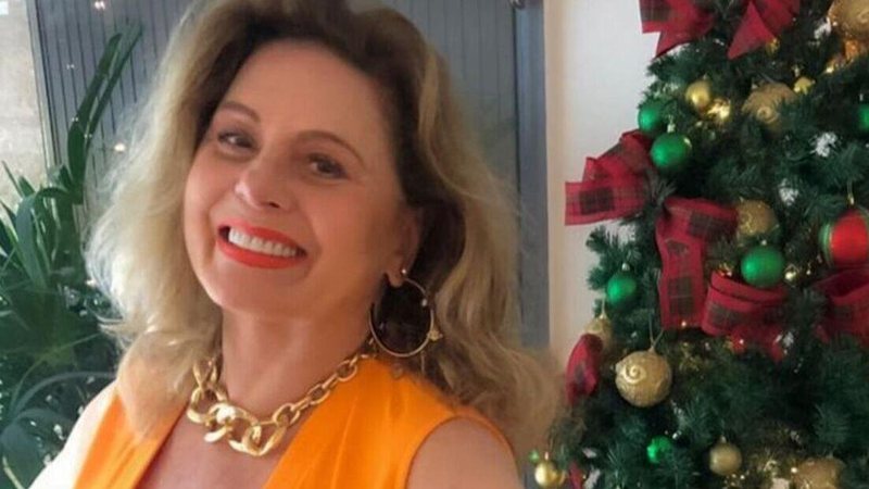 Vera Fischer arrasa em look escolhido para o Natal, e os seguidores rasgam elogios à atriz - Reprodução/Instagram