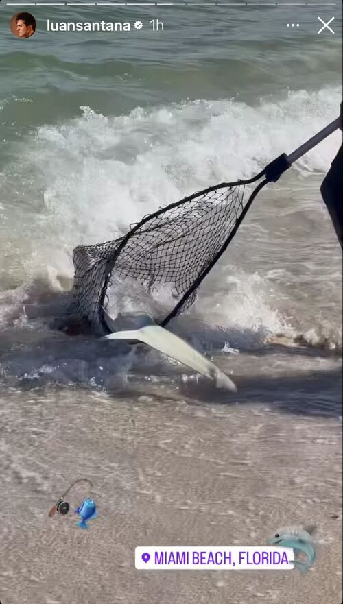 Luan Santana gravou um tubarão sendo pescado