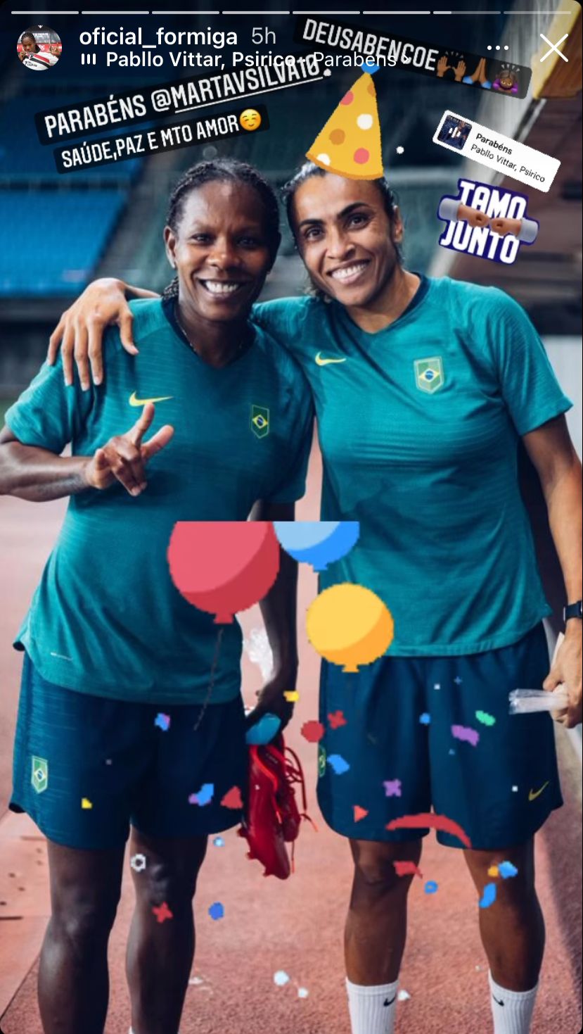 Formiga e marta