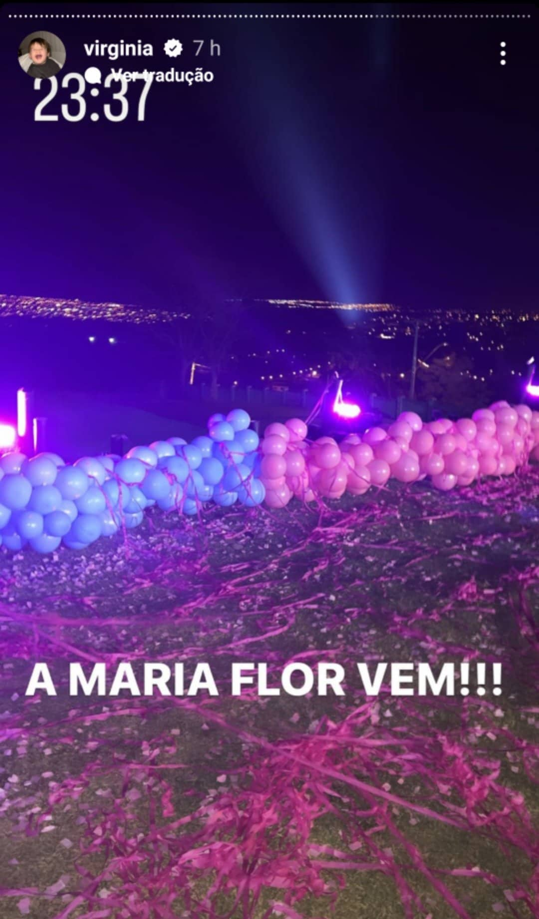 Chá revelação Virginia