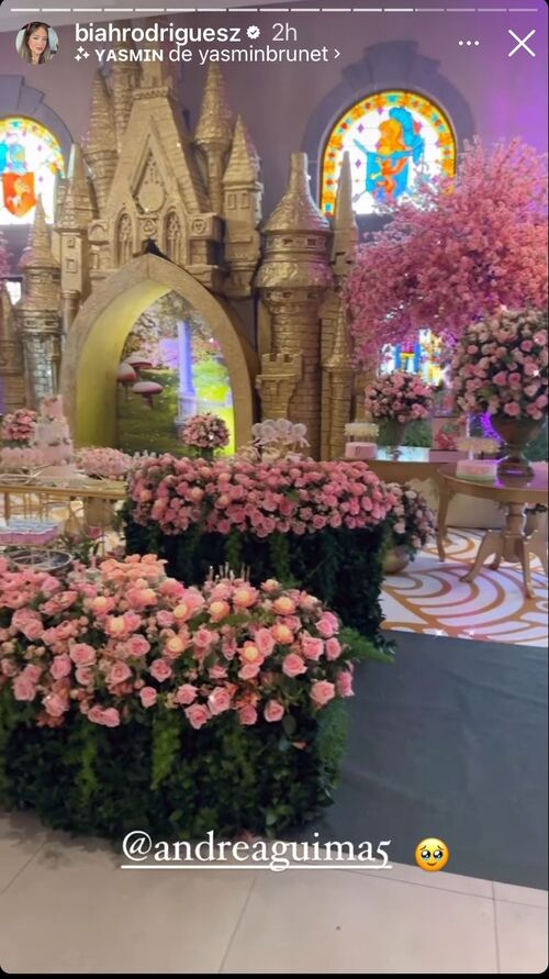 A pequena Nanda, terá um dia de princesa com a decoração de castelo no local do evento. O bolo da festa é uma atração a parte, com três andares e uma borboleta voando ao redor. 