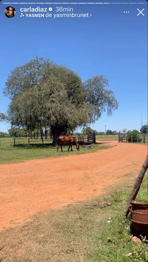 “Cheguei Pantanal. Cheguei”, comentou a artista. 