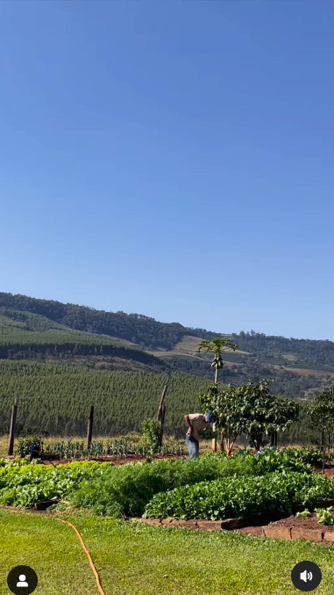 Ana Maria Braga mostra detalhes da Fazenda Primavera