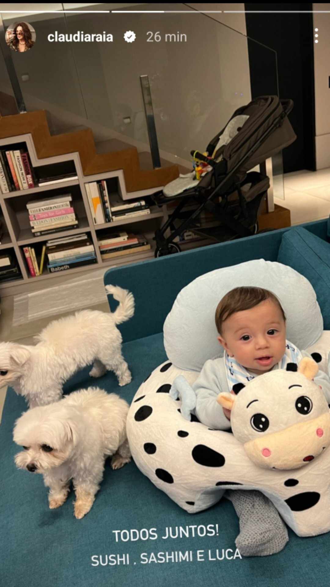 Claudia Raia mostra Luca com cachorros