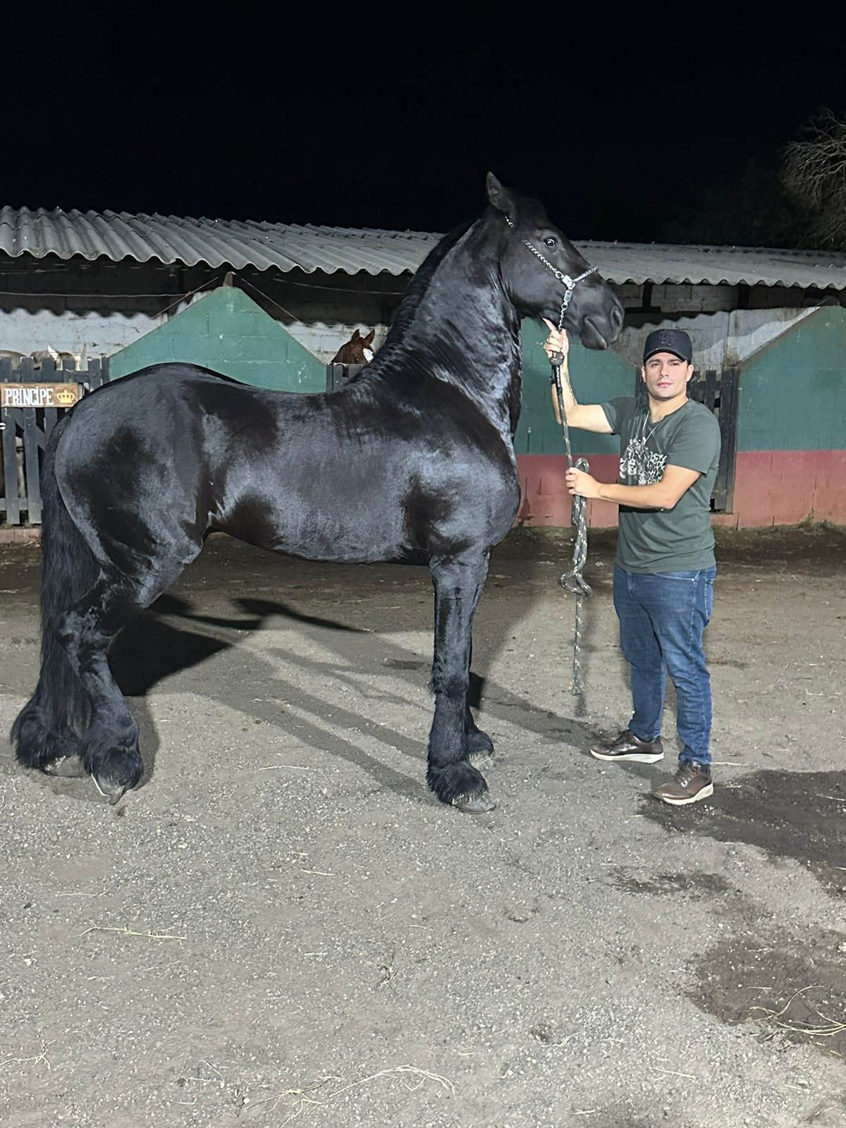 Gustavo Moura e Rafael revelam a paixão por cavalos