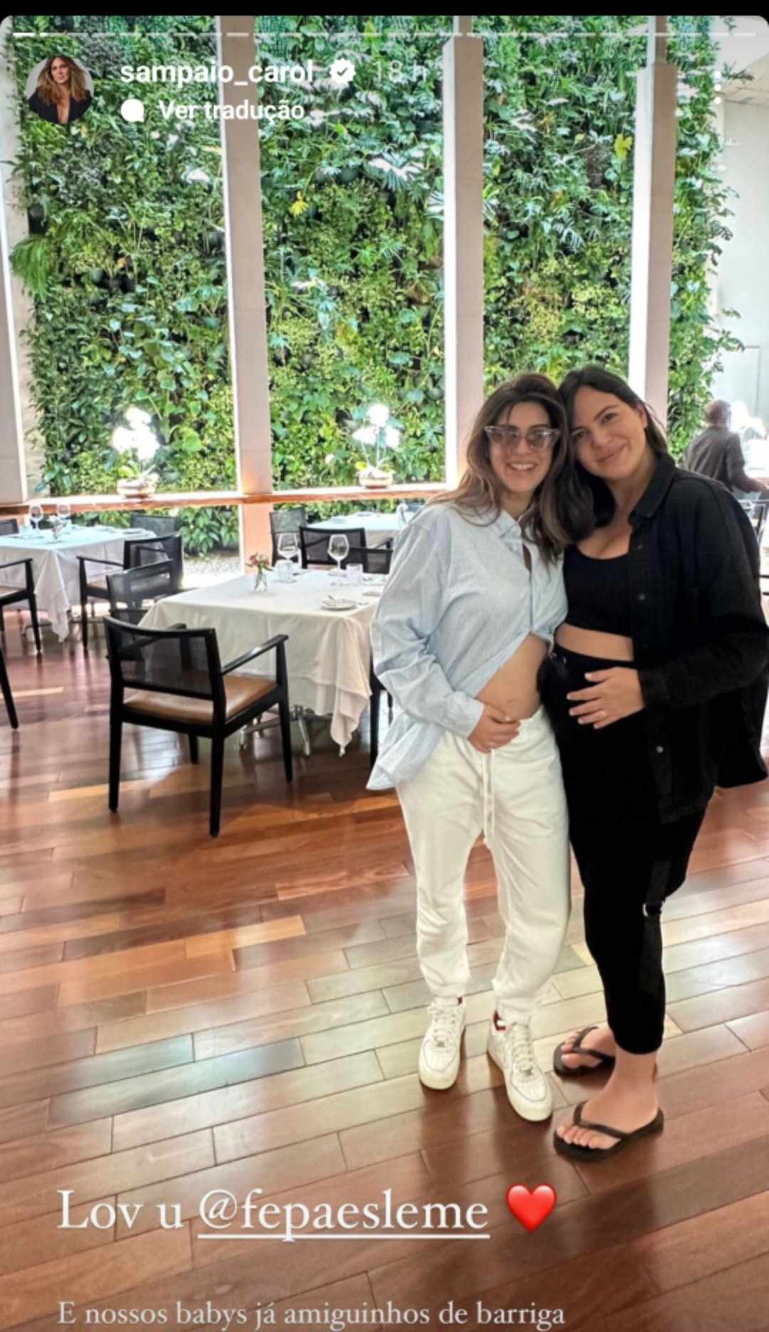 Fernanda Paes Leme mostra barriga grávida