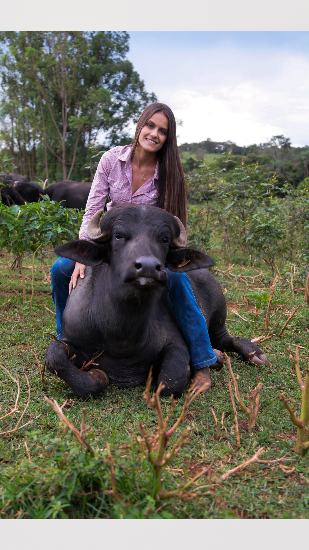 Garota com búfala