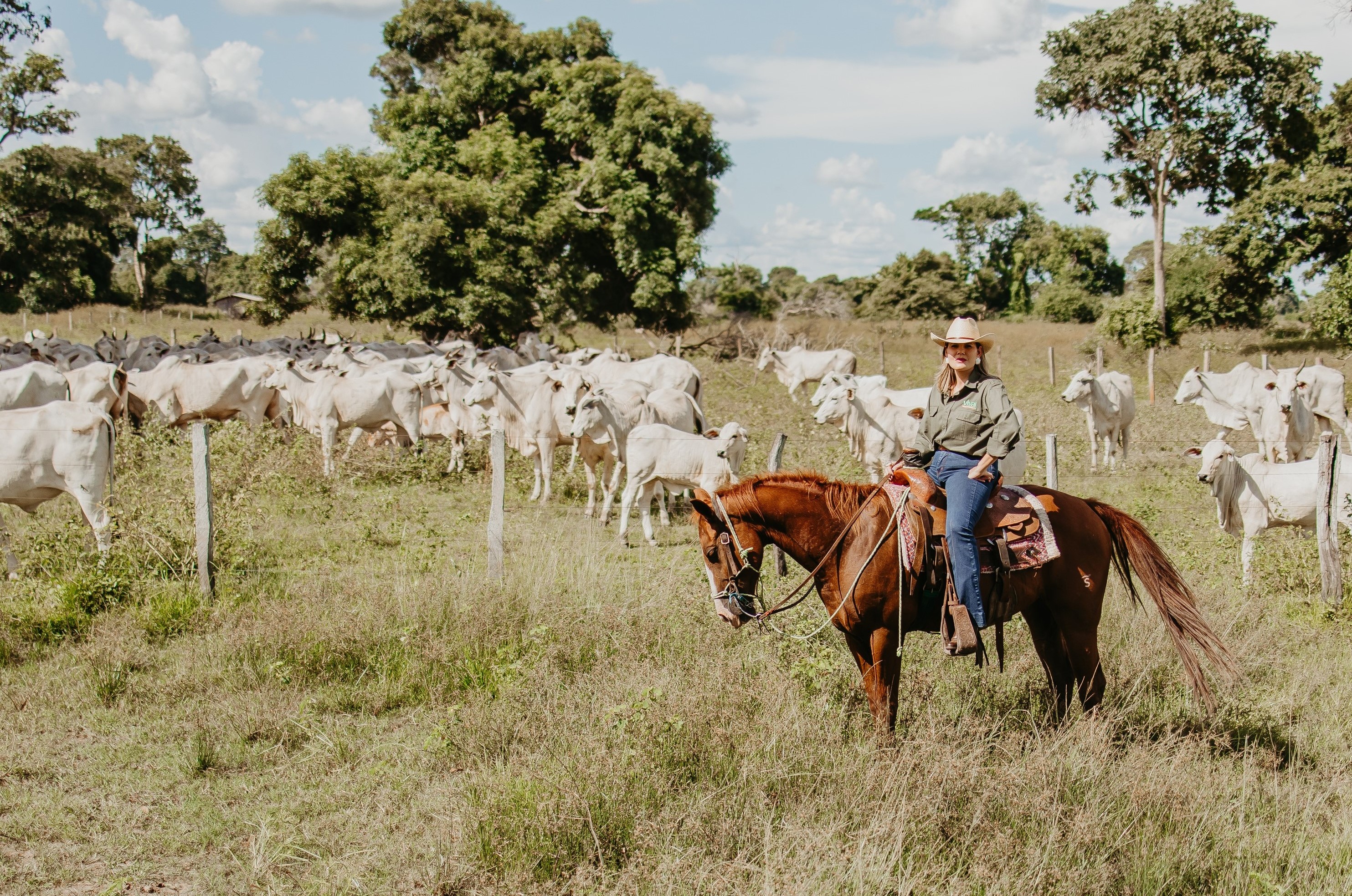 Tati no campo