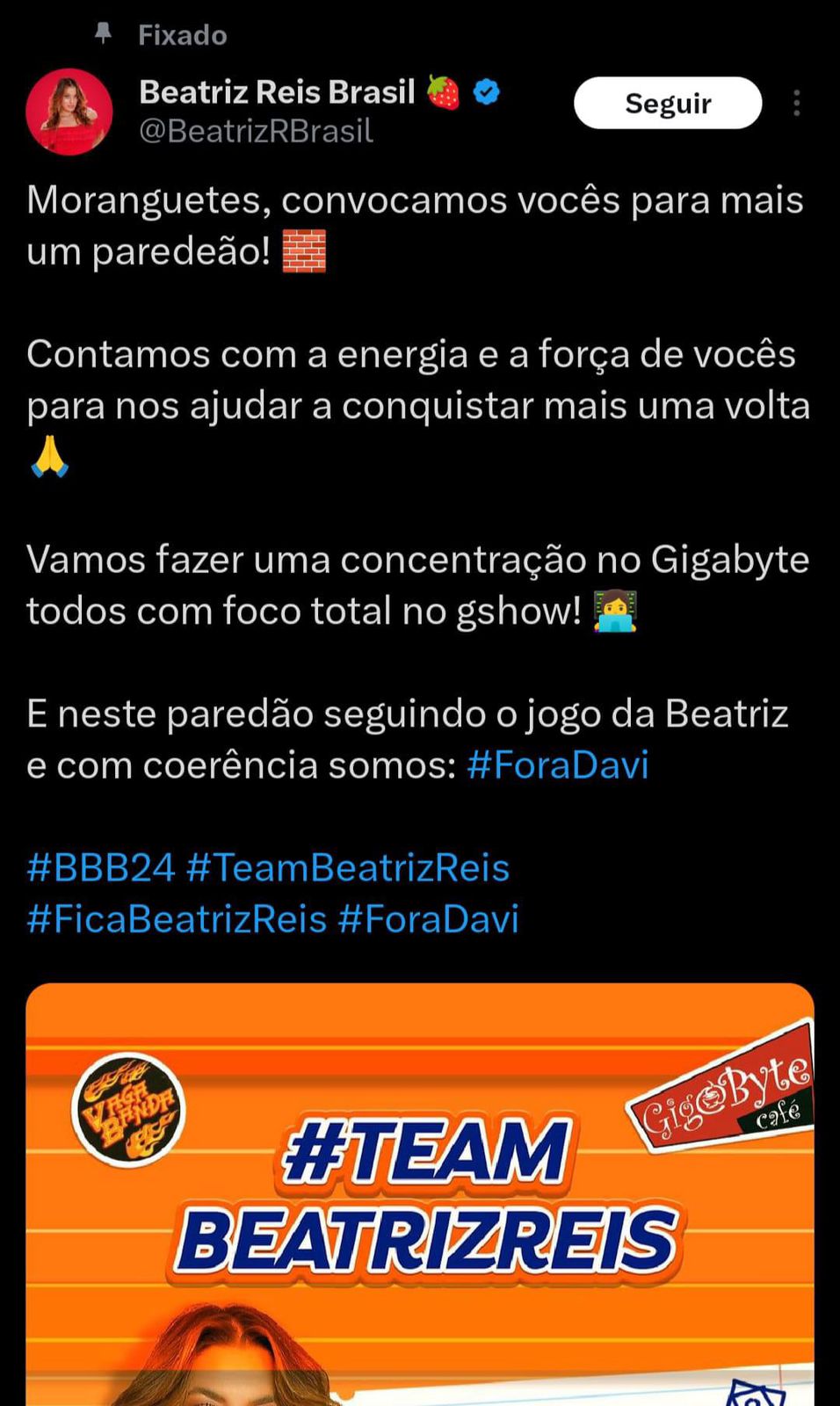 beatriz-fora-davi