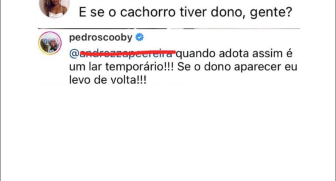 pedro scooby fala de cachorro adotado