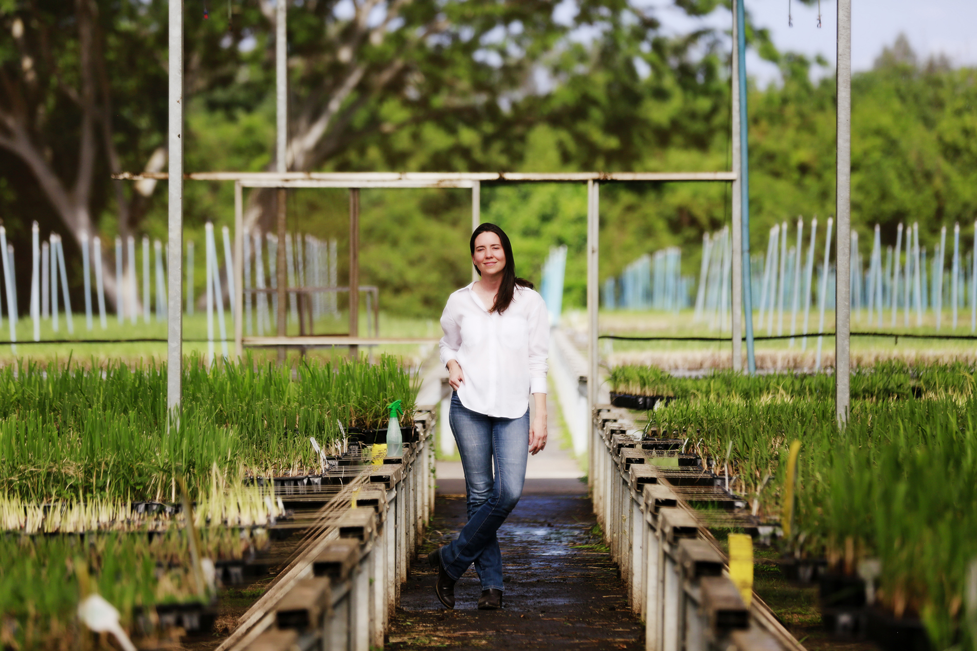 Laura Vicentini transformou fazenda canavieira em exemplo de sustentabilidade e economia circular