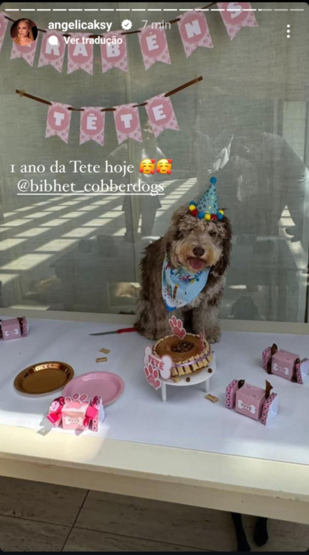 Angélica faz aniversário para sua cachorra