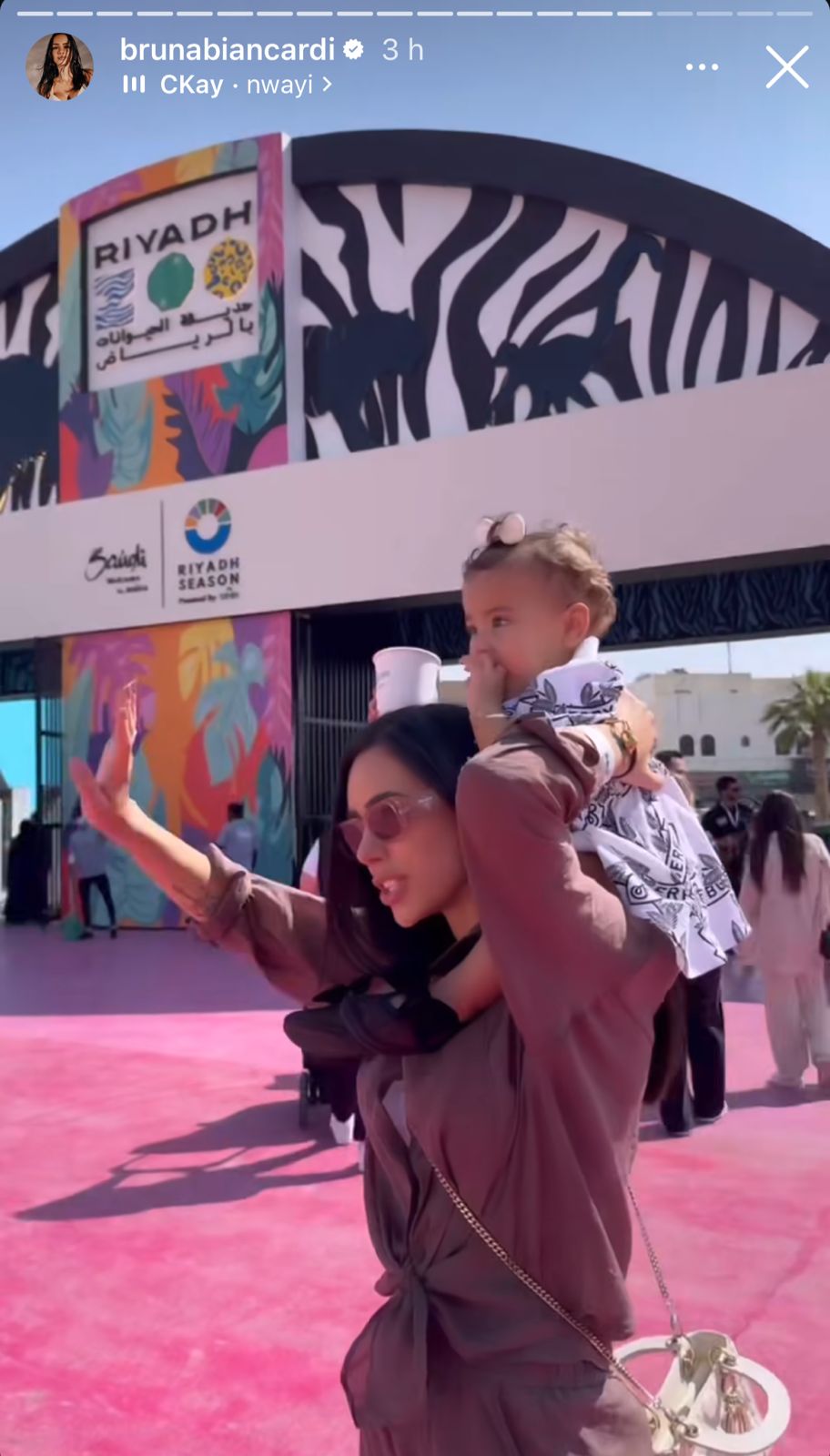 Bruna Biancardi leva Mavie para conhecer zoológico - Reprodução/Instagram